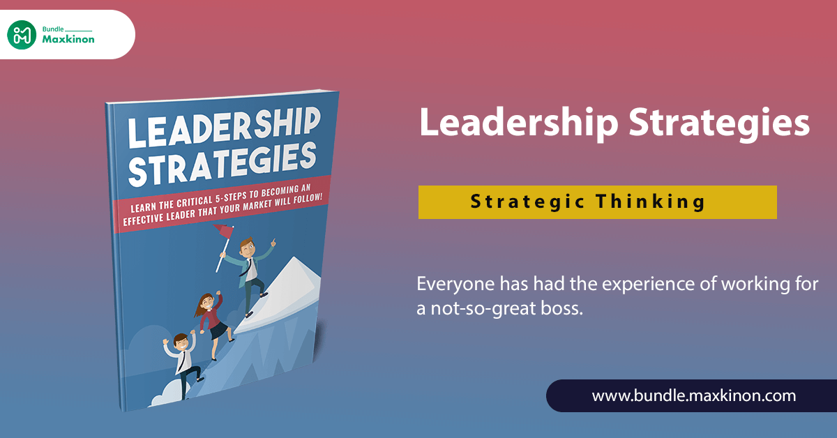 Leadership Strategies